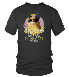 R.I.P GRUMPY CAT