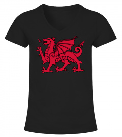 Welsh Red Dragon Flag of Wales Sweatshirt