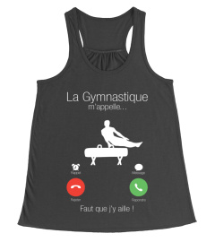 La Gymnastique