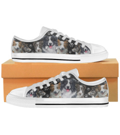 Border Collie - Sneaker - Paw