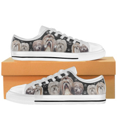 Shih Tzu - Sneaker - Paw