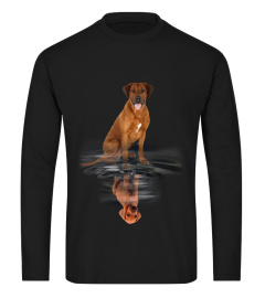 Rhodesian Ridgeback