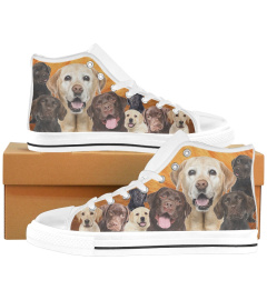 Labrador - High SNEAKER