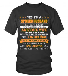 Yes I'm A Spoiled Husband 6