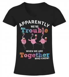 Apparently Were Trouble When We Are Together Flamingo Shirt