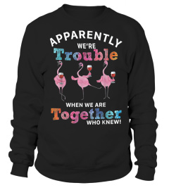 Apparently Were Trouble When We Are Together Flamingo Shirt