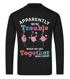 Apparently Were Trouble When We Are Together Flamingo Shirt