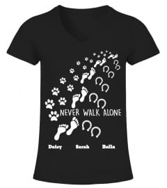 Dog-Horse-Never Walk Alone