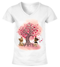 Dog yorkshire terrier-springtree