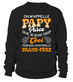 ON M'APPELLE PAPY