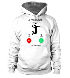 Le Volleyball