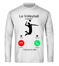 Le Volleyball