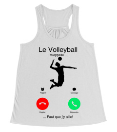 Le Volleyball