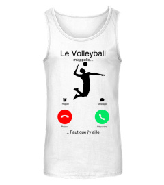 Le Volleyball