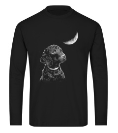 Curly-Coated Retriever