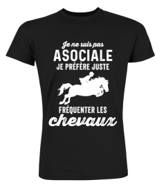 je préfère juste fréquenter les chevaux 