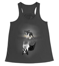 Boston Terrier Reflection