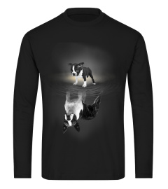 Boston Terrier Reflection