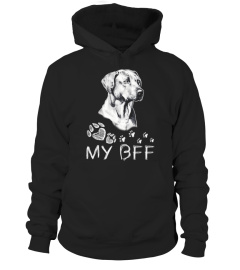 Weimaraner BFF