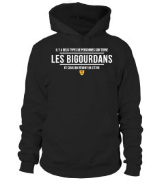 Les Bigourdans deux types