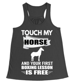 HORSE LESSONS