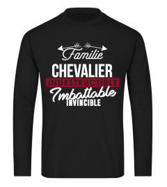 INDESTRUCTIBLE IMBATTABLE INVINCIBLE