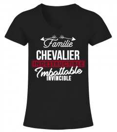 INDESTRUCTIBLE IMBATTABLE INVINCIBLE