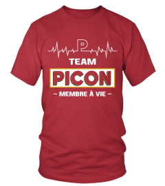 TEAM PICON