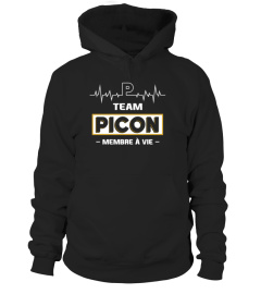 TEAM PICON