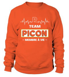 TEAM PICON