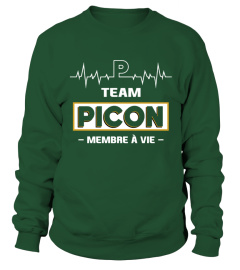 TEAM PICON