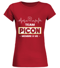 TEAM PICON