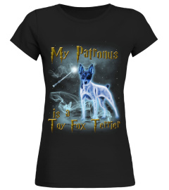 Toy Fox Terrier