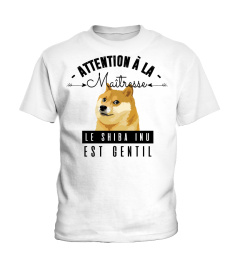 shiba inu