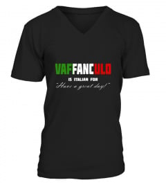 Vaffanculo Is Italian For Have A Great D