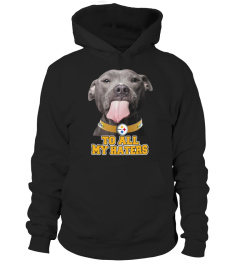 Pitbull Steelers too all my haters shirt