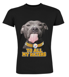 Pitbull Steelers too all my haters shirt