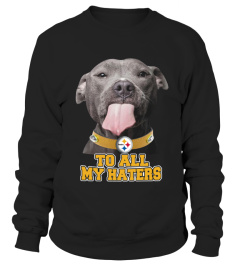 Pitbull Steelers too all my haters shirt