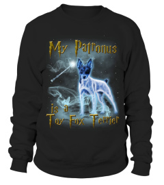Toy Fox Terrier