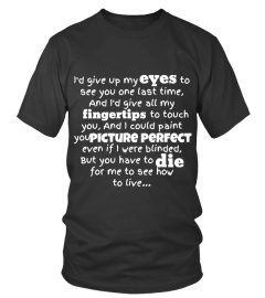 Picture Perfect lyrics top