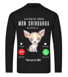 chihuahua