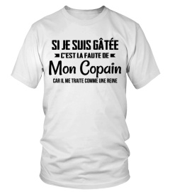 LA FAUTE DE MON COPAIN