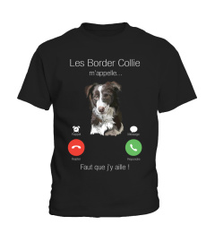 Les Border Collie