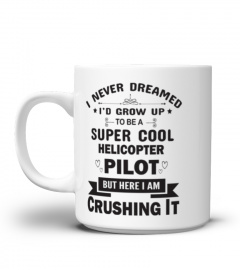 I Never to be a Super Cool Pilot