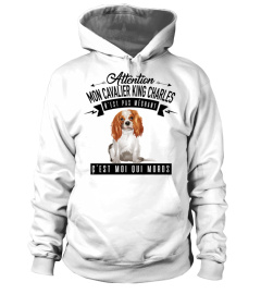 cavalier king charles