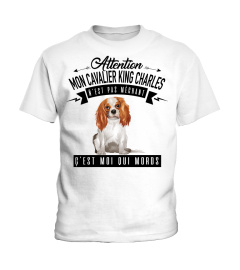 cavalier king charles