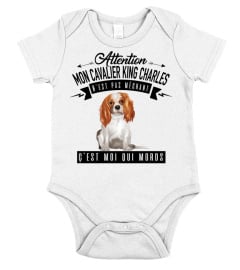 cavalier king charles