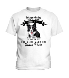 bordercollie