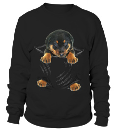 Beauceron Scratch