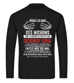 CES NICHONS